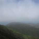 IMG_2479
