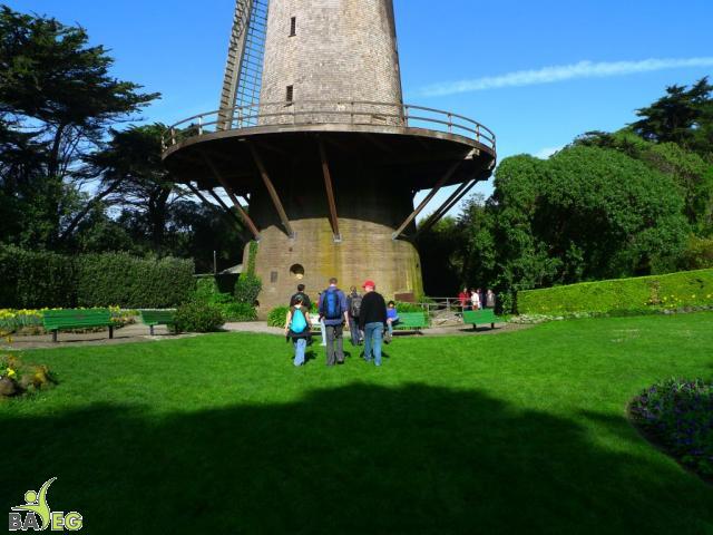 First tour stop .. windmill at Golden Gate Park