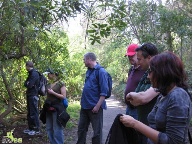 We're enchanted by the squirrels at Golden Gate Park