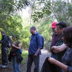 We're enchanted by the squirrels at Golden Gate Park