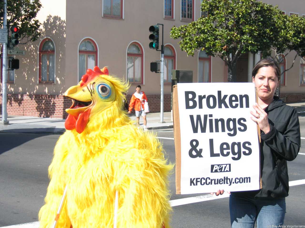 Chickens raised for KFC commonly suffer from broken wings & legs prior to slaughter.