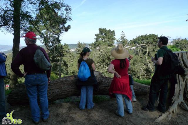 Enjoying the view from within Golden Gate Park