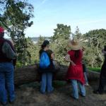 Enjoying the view from within Golden Gate Park
