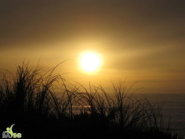 Great ending to a wonderful hike and lunch .. sunset over the ocean on the way home