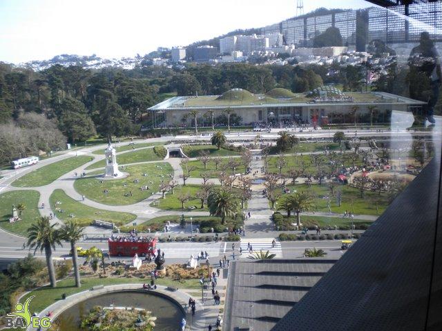 DSCN0462