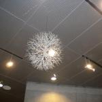 DSCN0453