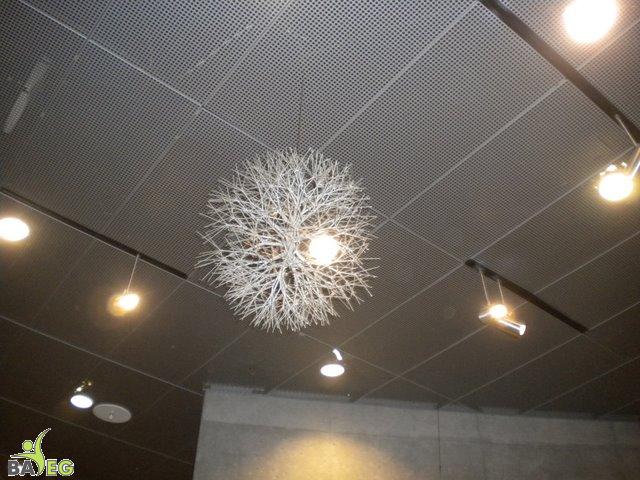 DSCN0453