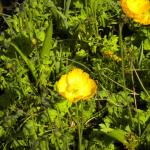 DSCN0325