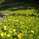 DSCN0326