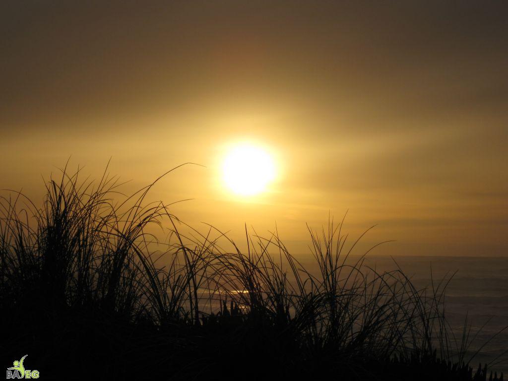 Great ending to a wonderful hike and lunch .. sunset over the ocean on the way home