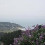 Montara North Peak to Beach Hike