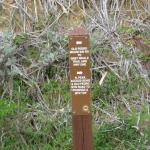 Well-signed along the way