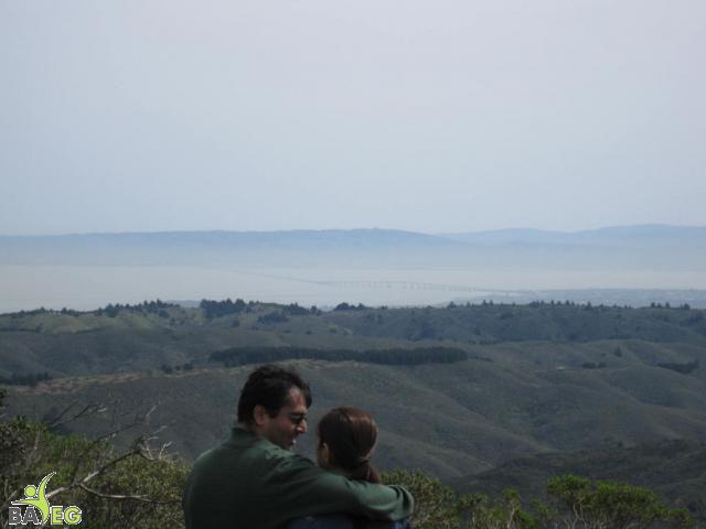 Great view from the top!  That's the San Mateo bridge in the distance