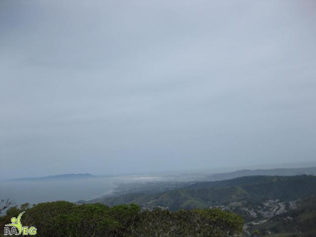 Looking up the coast towards San Francisco