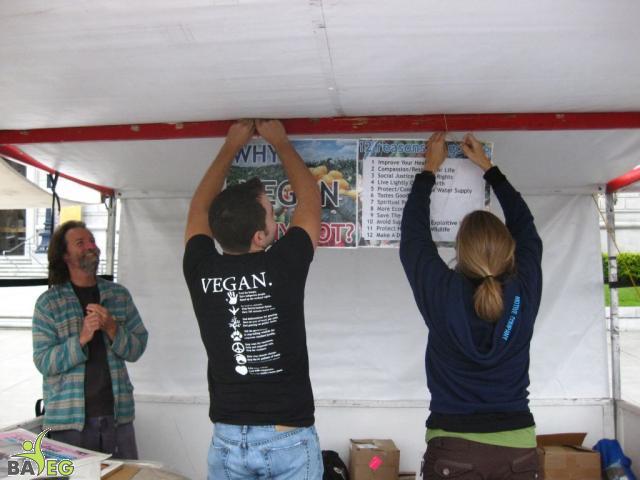 Dan and Michelle hanging the Why/Why Not Vegan Poster
