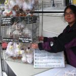 Tammy adjusting the display of the battery caged hens