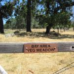 Bay Area Veg Meadow - picnic area at Animal Place, Grass Valley