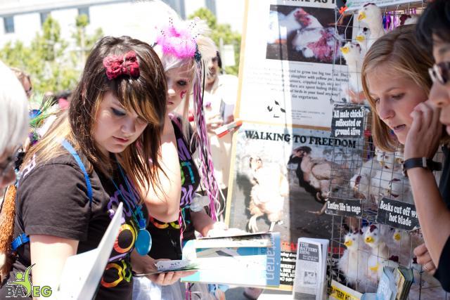BAVeg LBGT Pride 2010 Outreach booth