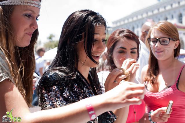 BAVeg Outreach booth - LBGT Pride 2010 