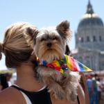 Canine visitor - BAVeg Outreach booth - LBGT Pride 2010 