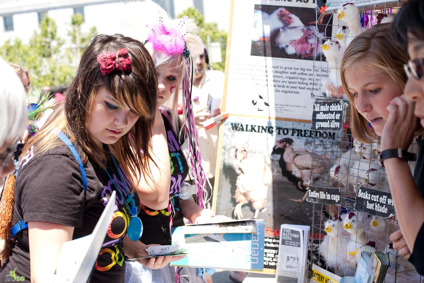 BAVeg LBGT Pride 2010 Outreach booth