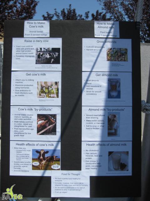 Poster examines production of vegan almond milk as compared to cow's milk