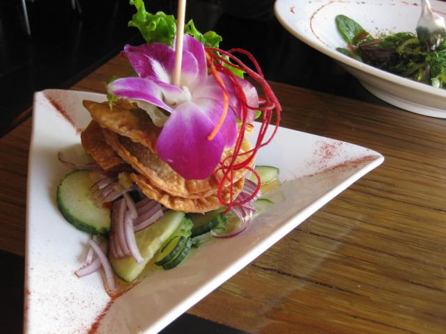 Crispy Spring Rolls - March (generationV.org)