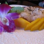 Mango Sticky Rice - March 2010 (generationV.org)