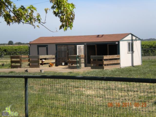 The goats' barn