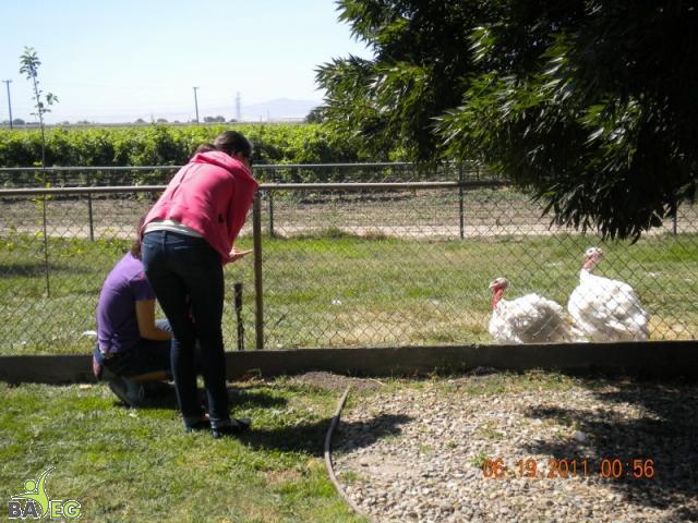 DSCN1242_007 _800x600_.jpg