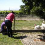 DSCN1242_007 _800x600_.jpg