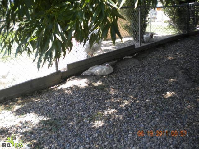 If you don't mind, some of us are trying to nap.