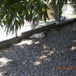 If you don't mind, some of us are trying to nap.