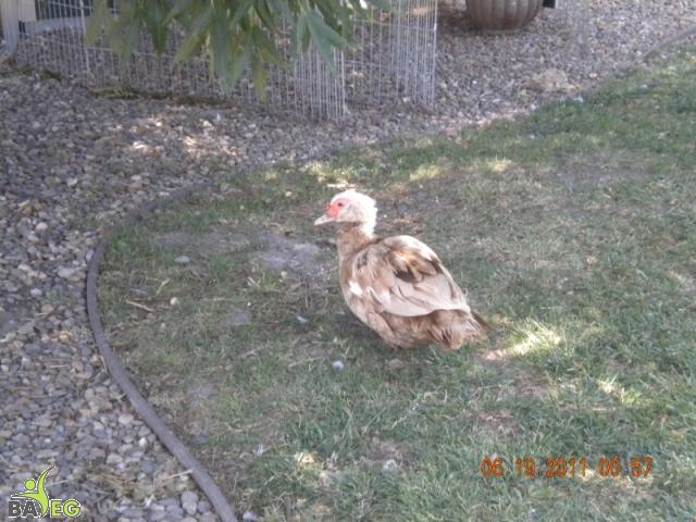 Take a picture, it'll last longer!