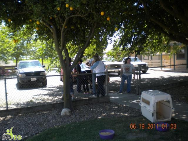 Yay! The tour is starting!