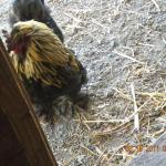 "I'm not sure I approve"