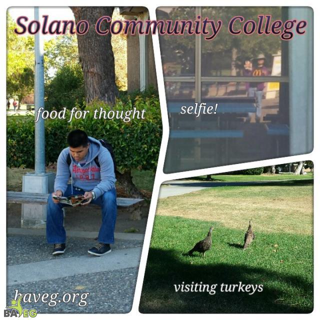 Solano Community College