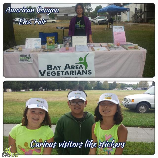 American Cyn Environmental Fair