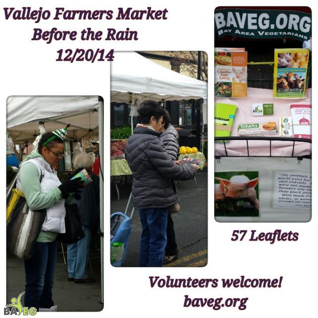 Farmer's Market Leafleting - 12/20/2014