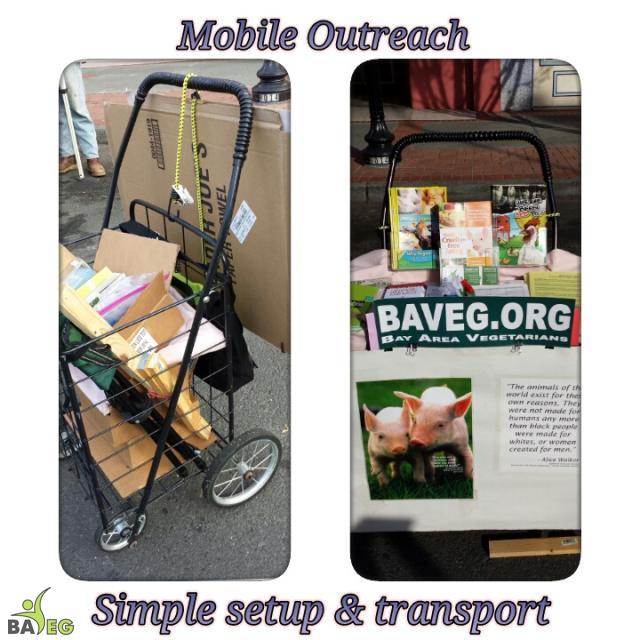 "Before" and "After"