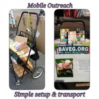 "Before" and "After"