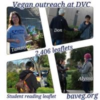 DVC - January 2015