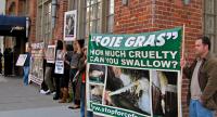 Napa:  Stand up for Ducks and Against Foie Gras!