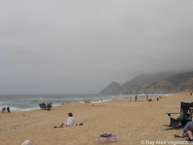 IMG_1105.jpg