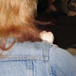 IMG_2978.jpg