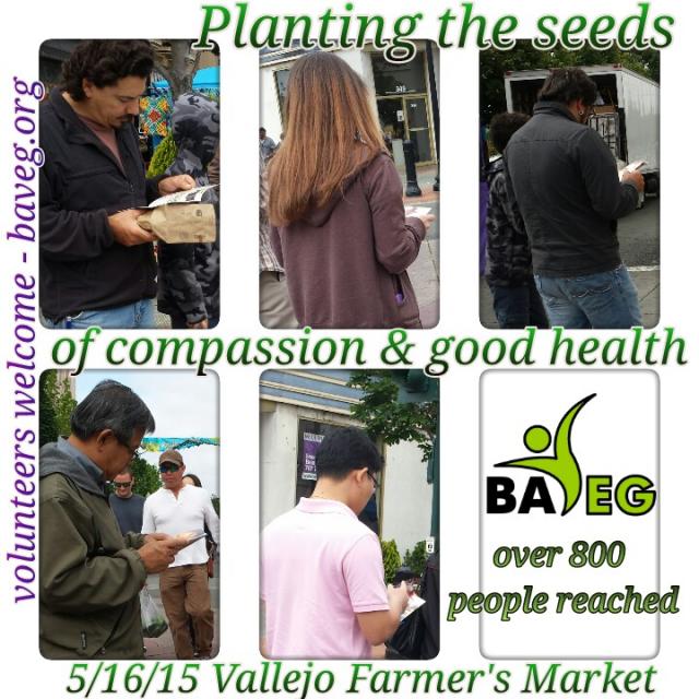vallejo_leafleting.jpg