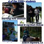 CSUEB Opening Day Spring Semester