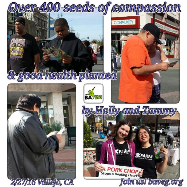Over 400 seeds of compassion planted at Vallejo Farmer's Market