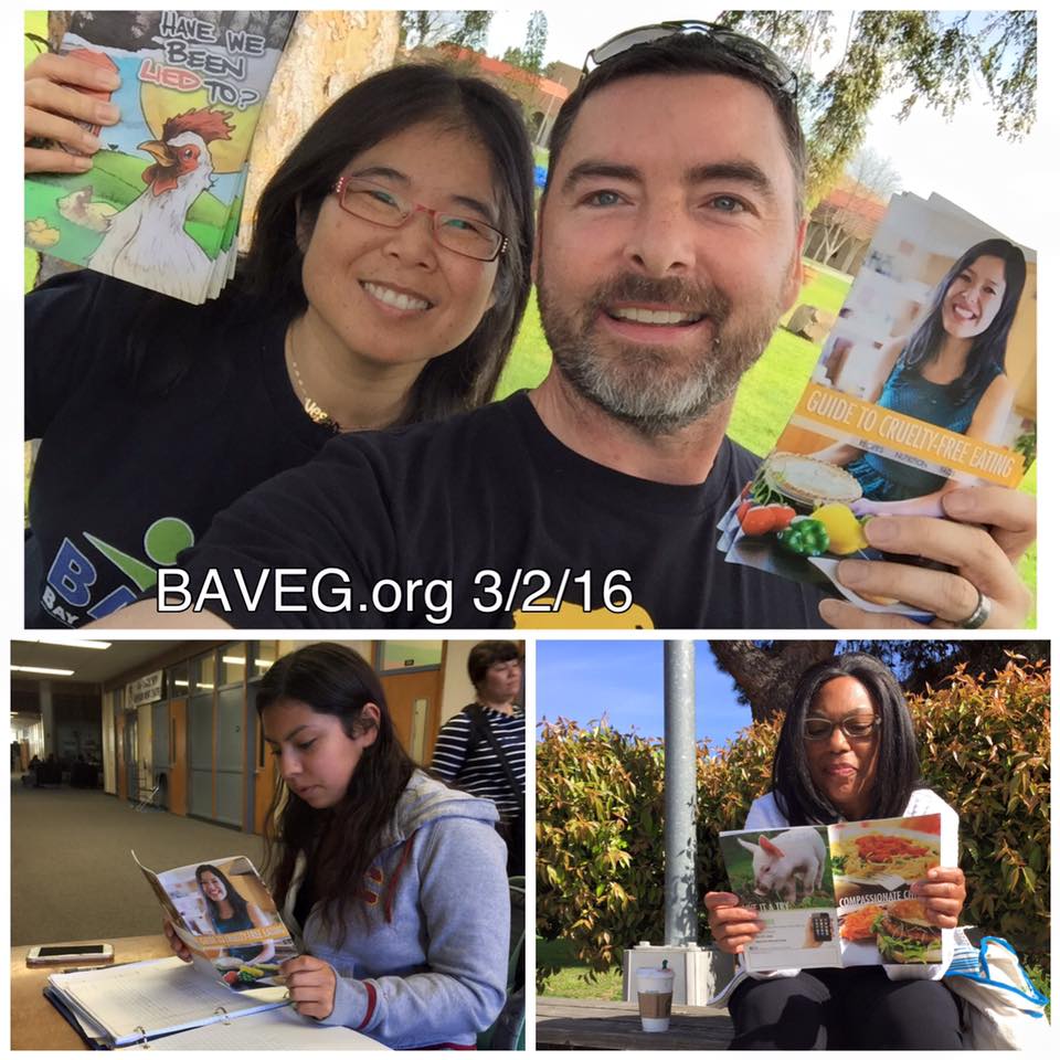 600 leaflets distributed at Solano Community College!