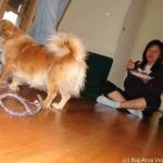 DSC03718.jpg